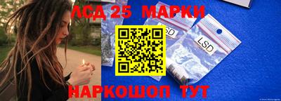 spice Гатчина