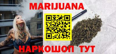 spice Гатчина