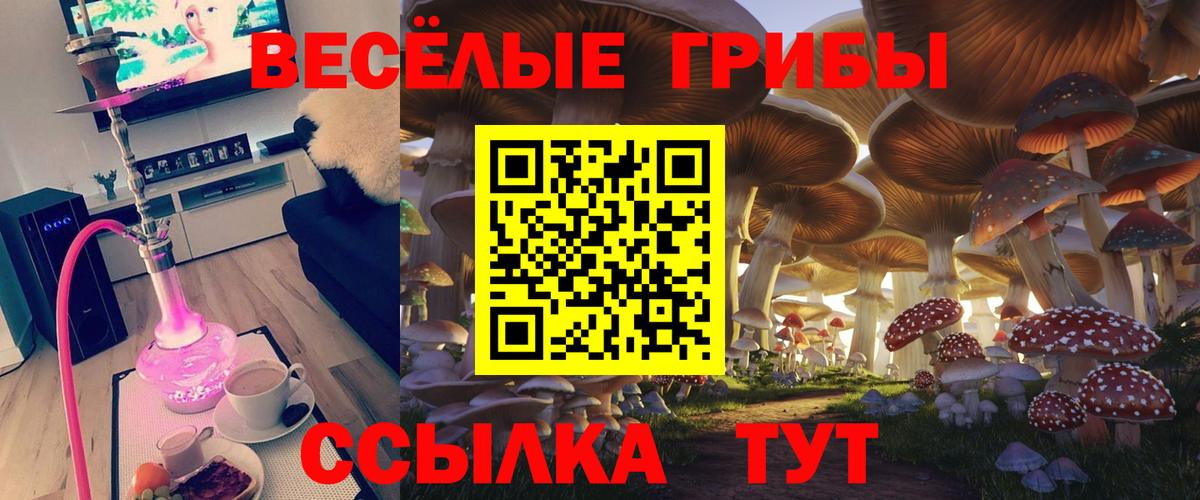 Галлюциногенные грибы Cubensis Вышний Волочёк